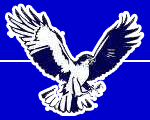 blue hawks